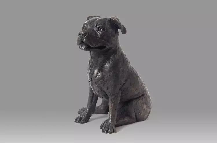 Staffy urn shop